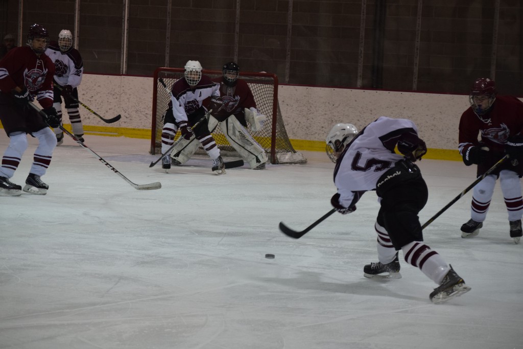 hockey2