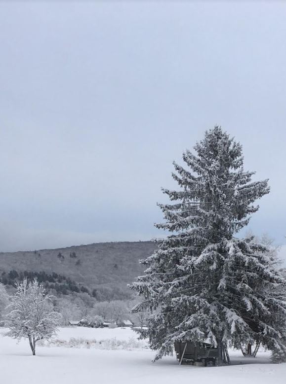 snow2