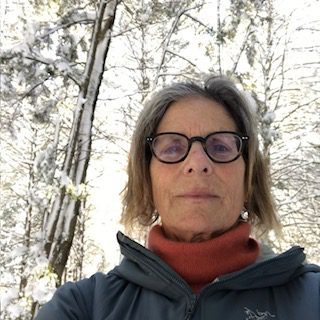 The life of a school psychologist: an interview with Evie Snyder